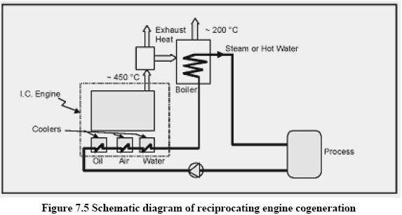 Renewable_15.JPG